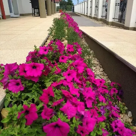 Affittacamere St. Hubert