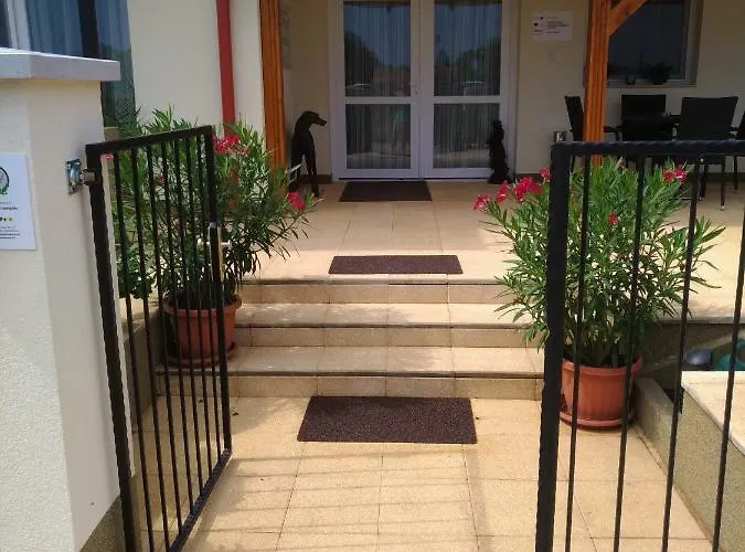 بيت ضيافة St. Hubert Vendeghaz 4*