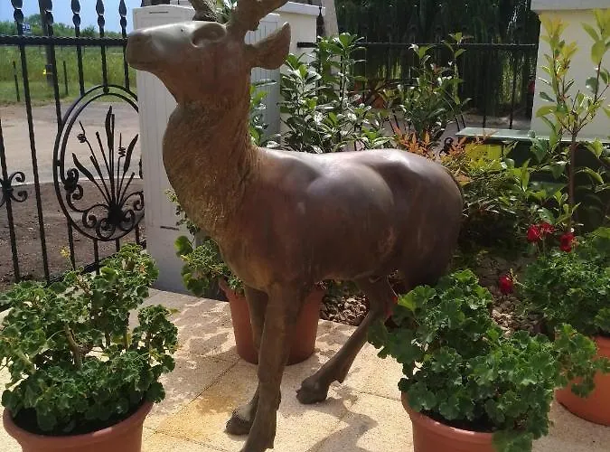 بيت ضيافة St. Hubert Vendeghaz 4*